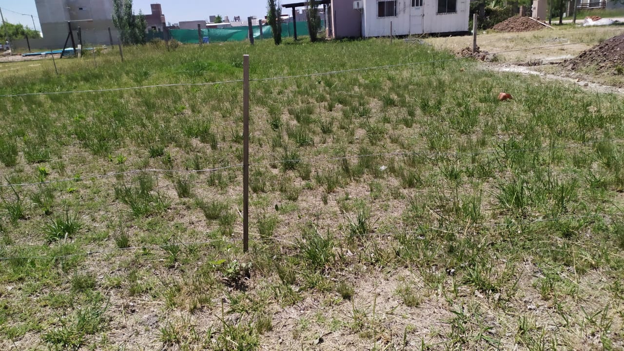 Antes - Mantenimiento de terreno