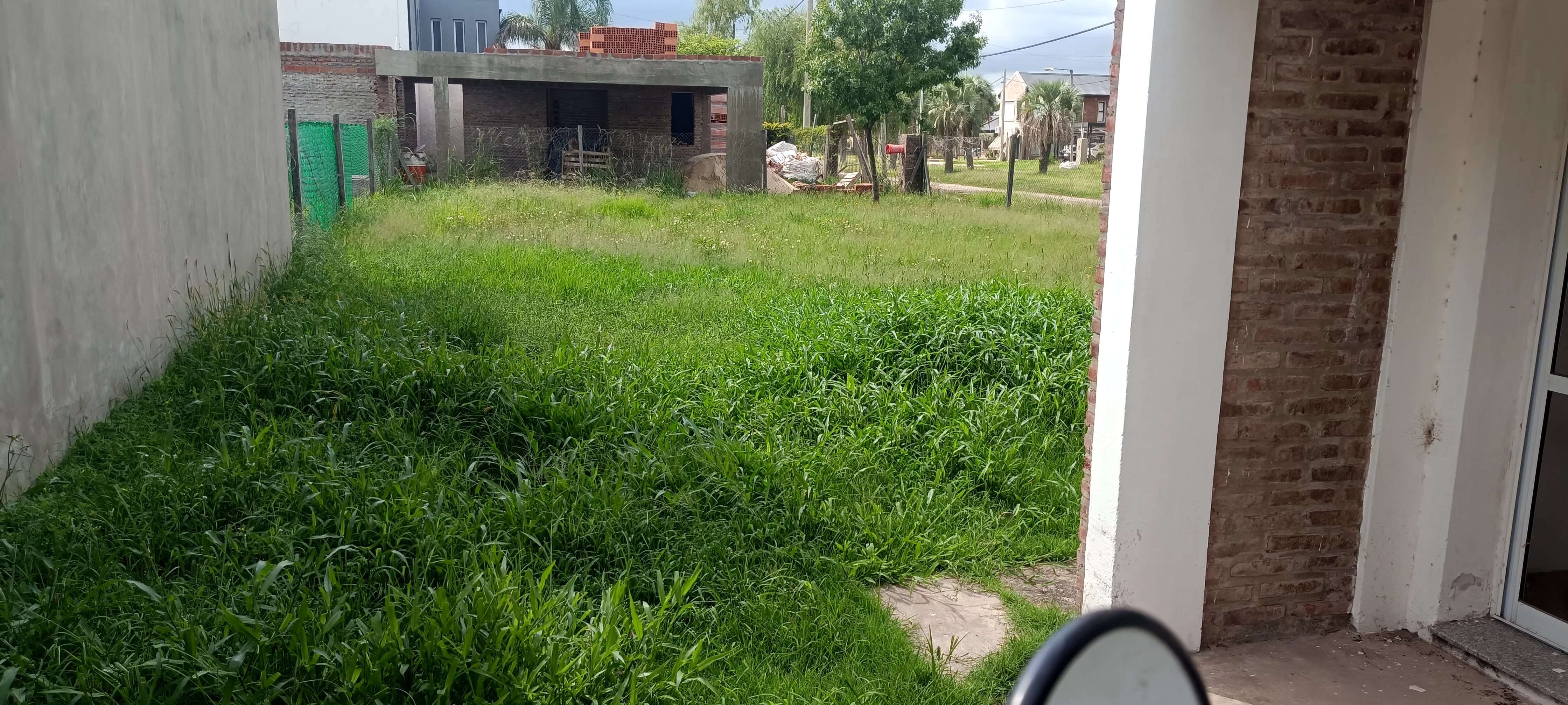 Antes - Corte de cesped