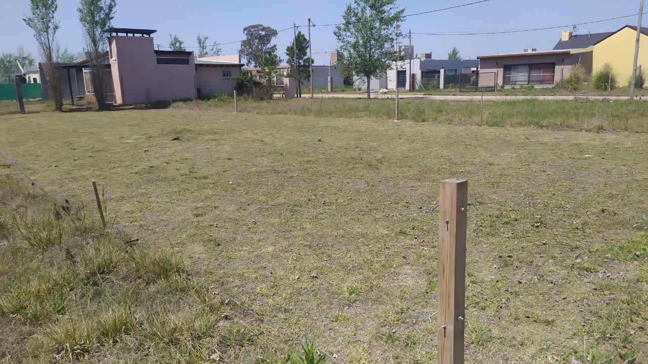 Después - Mantenimiento de terreno
